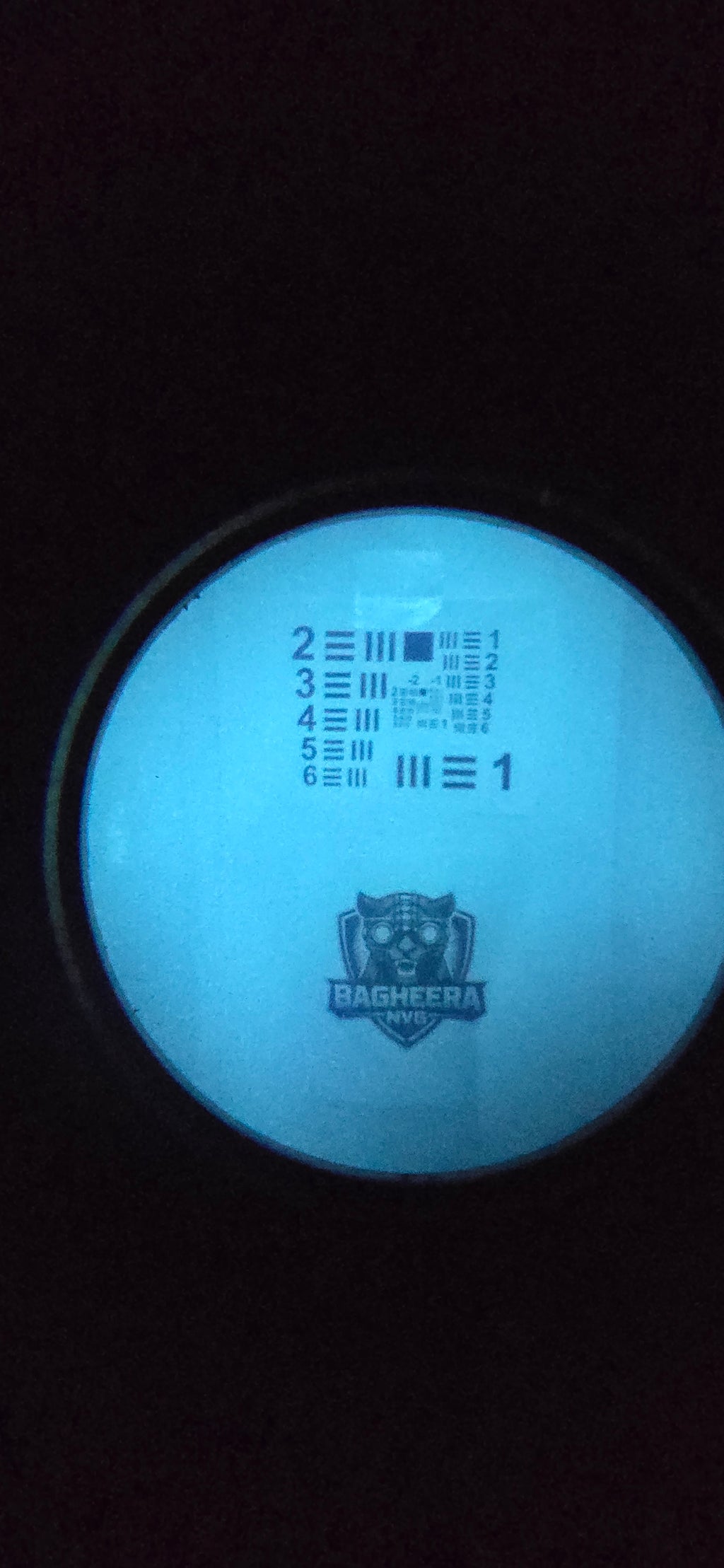 Bagheera PHANTOM Binoculars Night Vision Goggles White Phos P45