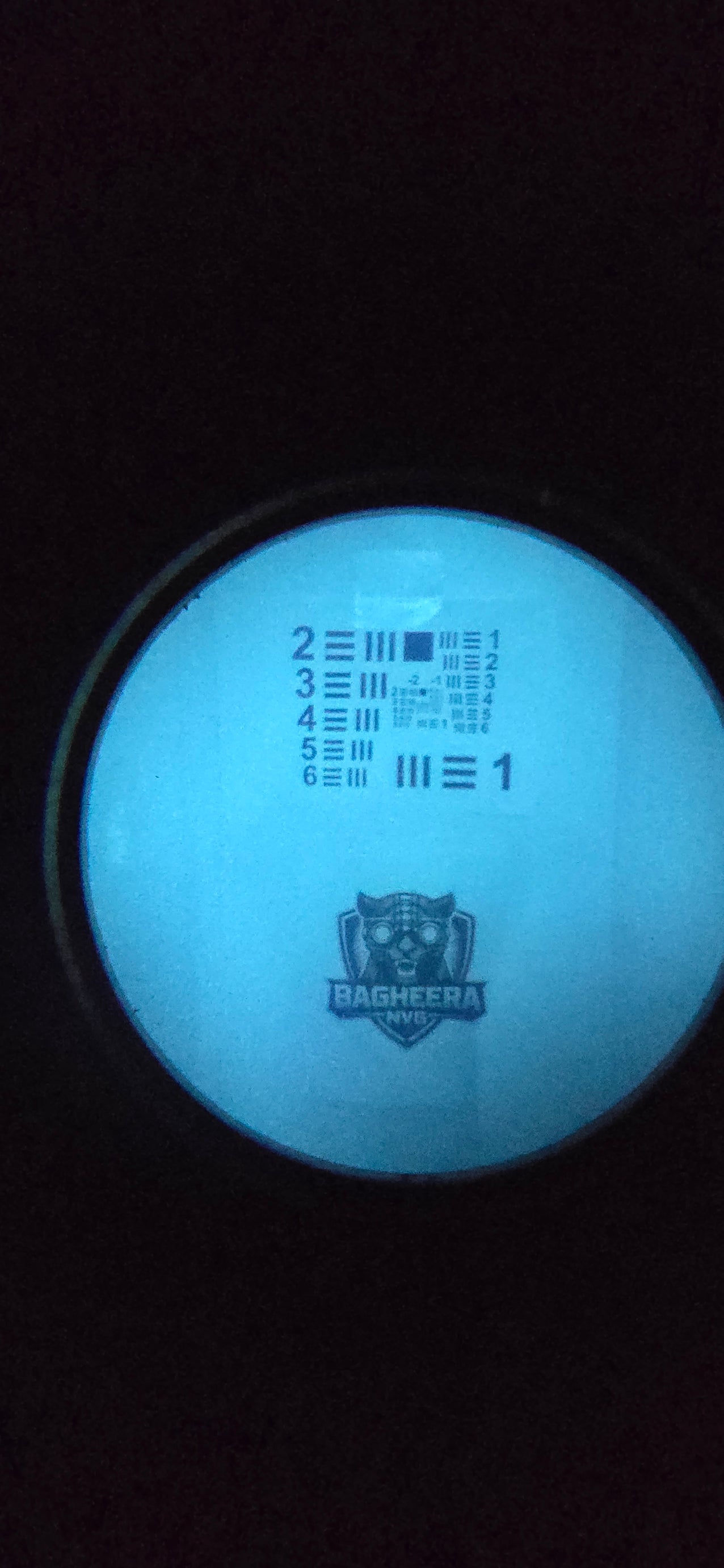 Bagheera PHANTOM Binoculars Night Vision Goggles White Phos P45